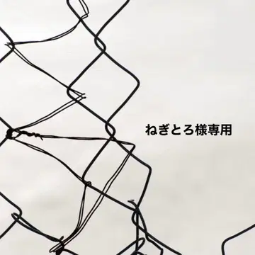 갈피 중형견 트레이닝복