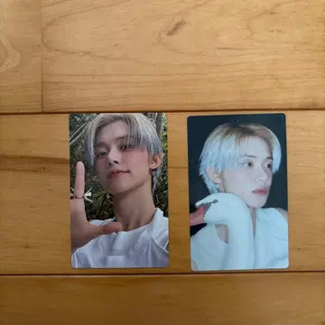 영준 트레이딩 카드