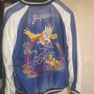 테일러 토요 에이징 모델