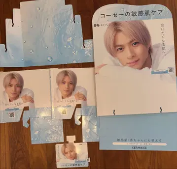 히라노 쇼 코세 패널 세트