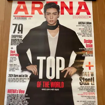 ARENA TOP ARENA HOMME+ 포스터