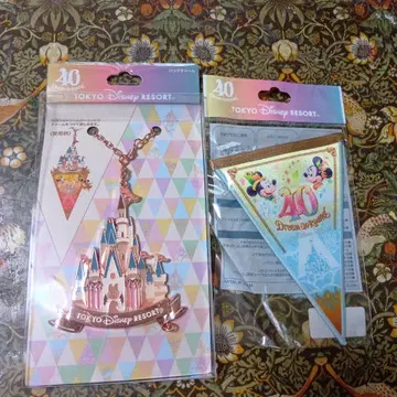 도쿄 디즈니 리조트 40주년 키링