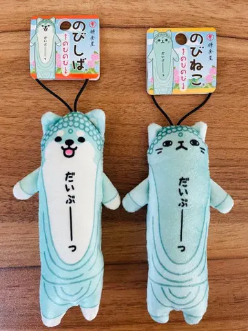 노비네코 노비시바 택 포함 다이부츠 대불 가마쿠라