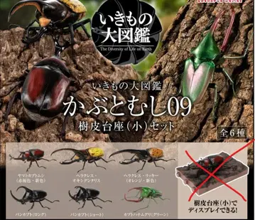 카부토무시09 생물대도감 가샤폰 온라인 (나무껍질 받침대 없음)