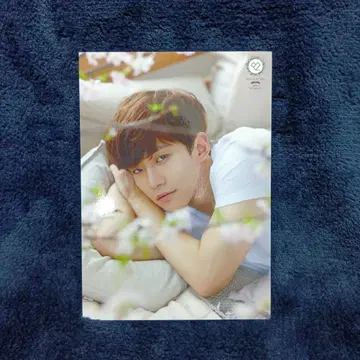 2PM 준호 트레이딩 카드 F