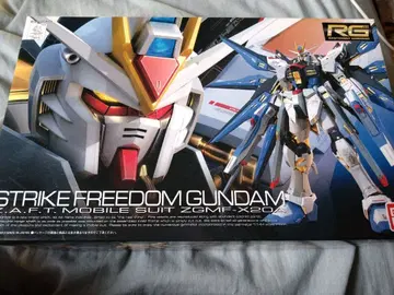 RG 스트라이크 프리덤 건담