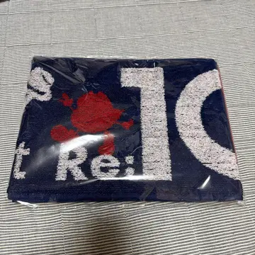 Nissy DOME TOUR Re:10 머플러 타월