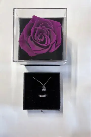 후와 미나토 준 브라 로즈 박스 포함 반지 & 목걸이 세트