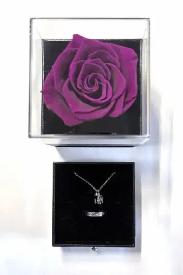 후와 미나토 준 브라 로즈 박스 포함 반지 & 목걸이 세트 반지