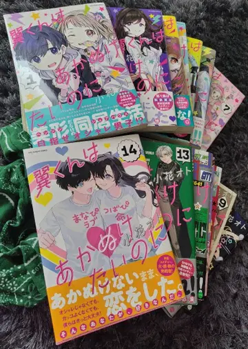 츠바사 군은 세련되고 싶어 전 14권 세트