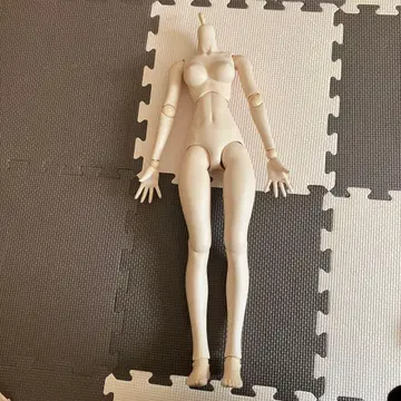 DDS 바디만 빅 핸드