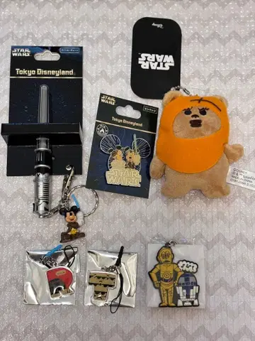디즈니랜드 스타 투어스 핀 배지 키체인