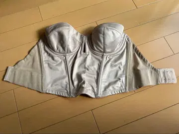 THE TREAT DRESSING 브라이덜 이너 뷔스티에 D70