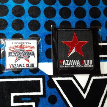 야자와 에이요시 다리미 패치