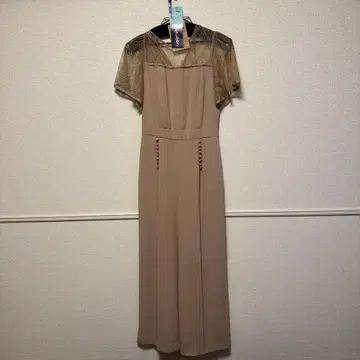 베이지 레이스 소매 롱 드레스