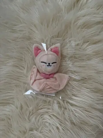 straykids skzoo 폭시니 백참 테루테루보즈