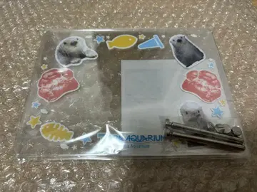 캡슐 복권 x 도바 수족관 랏코의 메이짱 복권 리턴즈!