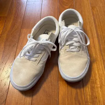 VANS 신발 24.5cm