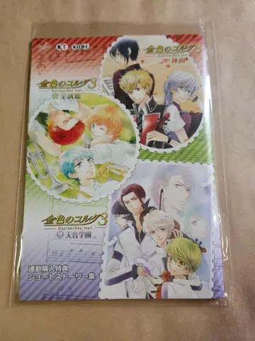 [ 구매 혜택 ] 골드 컬러 코다 3 숏 스토리집 익명 배송