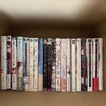 묶음 판매 BL 도서 20권 세트