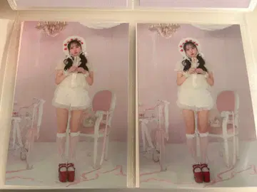 FRUITSZIPPER 마츠모토 카렌 LARME 엽서 6장 세트