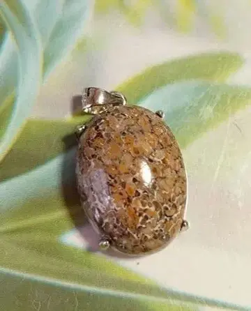 다이너소어 본 파슬 (소프트 브라운) 펜던트