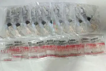 하이큐 10th 크로니클 아크피 검은 꼬리