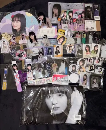 엔도 사쿠라 굿즈 묶음 판매 사진 t셔츠 L 사이즈 미개봉