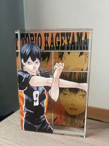 하이큐!! 카게야마 토비오