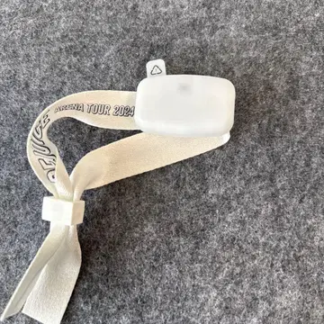 Officialdism REJOICE 아레나 투어 한정품