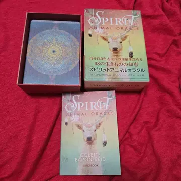 스피릿 애니멀 오라클 2020년
