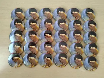 루토군 너와 나의 비밀기지 실사 캔뱃지