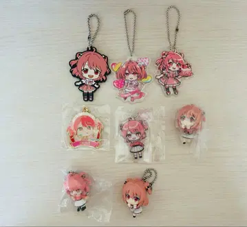 노아 씨 묶음 판매