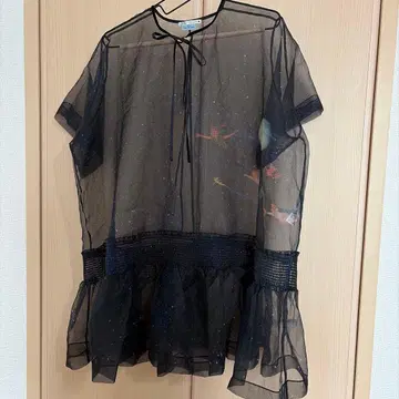 ZARA Disney 콜라보 피터팬 시스루 반팔 튜닉 사이즈 L