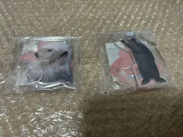 캡슐 복권 x 토바 수족관 랏코의 메이짱 복권 리턴즈!