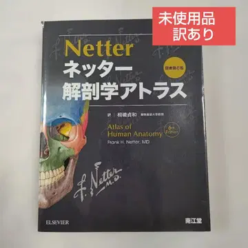 [ 하자품 ] 네터 해부학 아틀라스 제6판