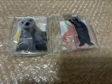 카프쿠지 x 토바 수족관 랏코의 메이짱 복권 리턴즈!