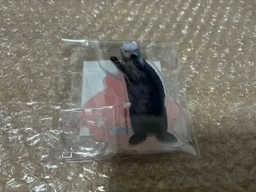 캡슐 복권 x 토바 수족관 랏코의 메이짱 복권 리턴즈!