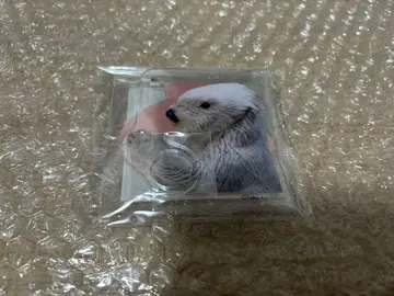 캡 복권 x 토바 수족관 랏코의 메이짱 복권 리턴즈!