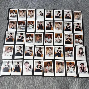 익명 배송 40장 세트 ViViD 이브 폴라로이드 hedonist 굿즈