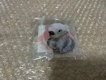 카프 복권 x 토바 수족관 랏코의 메이짱 복권 리턴즈!