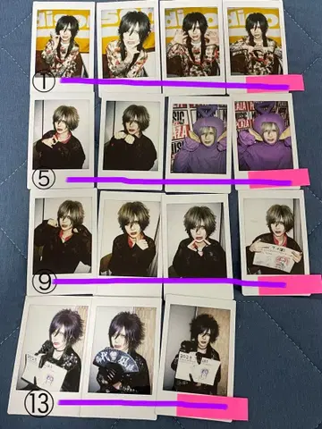 Royz  폴라로이드