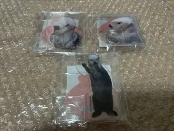 캡슐 복권 x 토바 수족관 랏코 메이짱 복권 리턴즈!