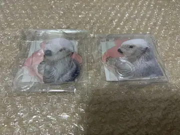 캡슐 복권 x 토바 수족관 랏코의 메이짱 복권 리턴즈!