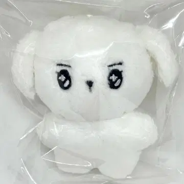 차은우 봉제 인형 10cm 마스터 아스트로 Astro