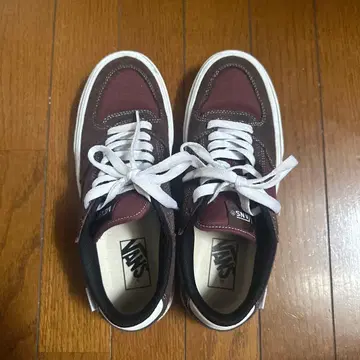 VANS Vertex V3832