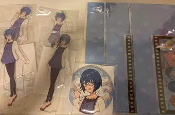 키리타니 하루카 프로세카 하피콜 복권 아크릴 스탠드 캔뱃지 티켓 홀더