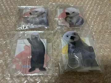 캡 복권 x 토바 수족관 랏코의 메이짱 복권 리턴즈!