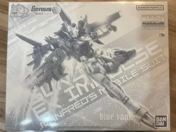 건담 엑스 임펄스 MG 1/100