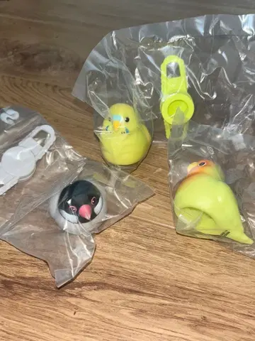 소프트 비닐 마스코트 밴드 코토리